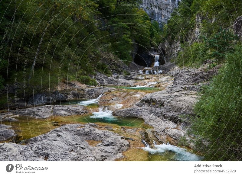 Wasserfall, der von Stufen in den Fluss fließt Kaskade Schritt Natur fließen Stein Baum Landschaft escuain Sommer Spanien Umwelt Sommerzeit Örtlichkeit Licht