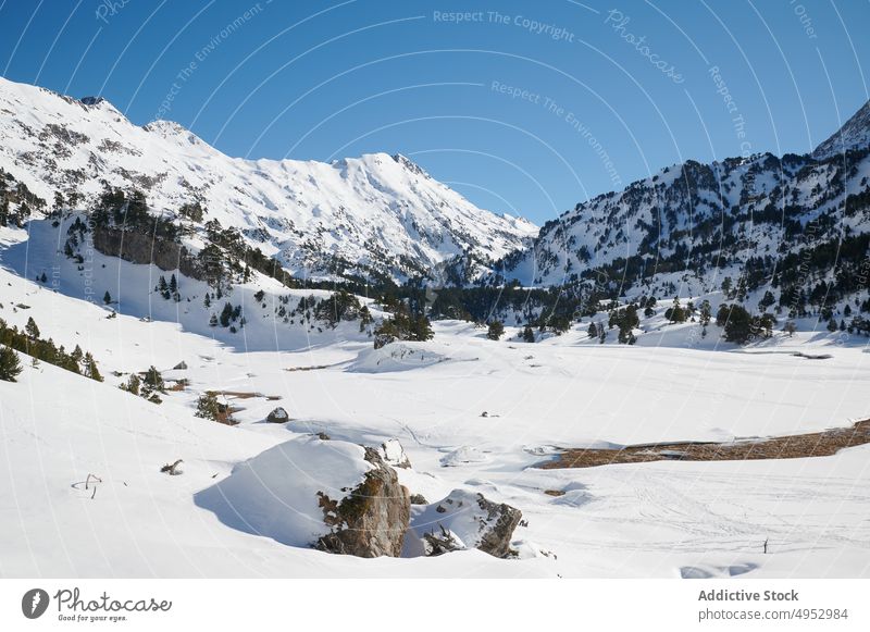 Schneebedeckte Berggipfel, umgeben von dichtem Wald Berge u. Gebirge Ambitus Natur Kamm Hochland Umwelt Landschaft Felsen Wälder wild Berghang Gipfel felsig