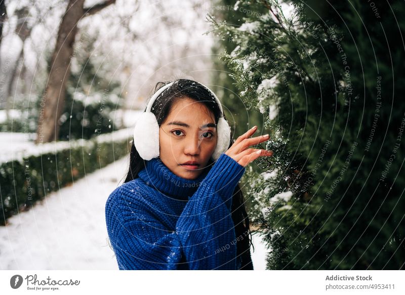 Ethnische Frau in warmer Kleidung berührt einen Baum im Winterpark Schneefall nadelhaltig Immergrün Angebot warme Kleidung Winterzeit Park Porträt Strickwaren