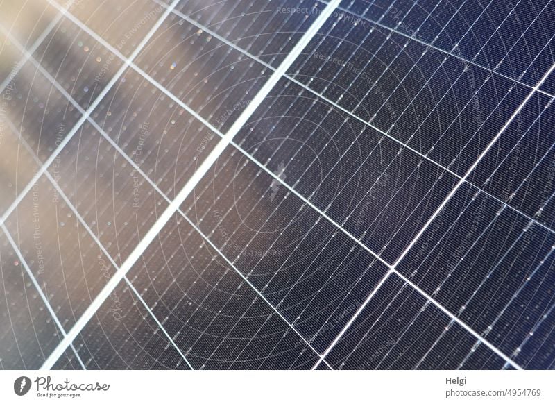 Sonnenenergie nutzen Solarenergie Solarmodul Energiegewinnung Erneuerbare Energie Energiewirtschaft Photovoltaik Solarzellen Photovoltaikanlage Nachhaltigkeit