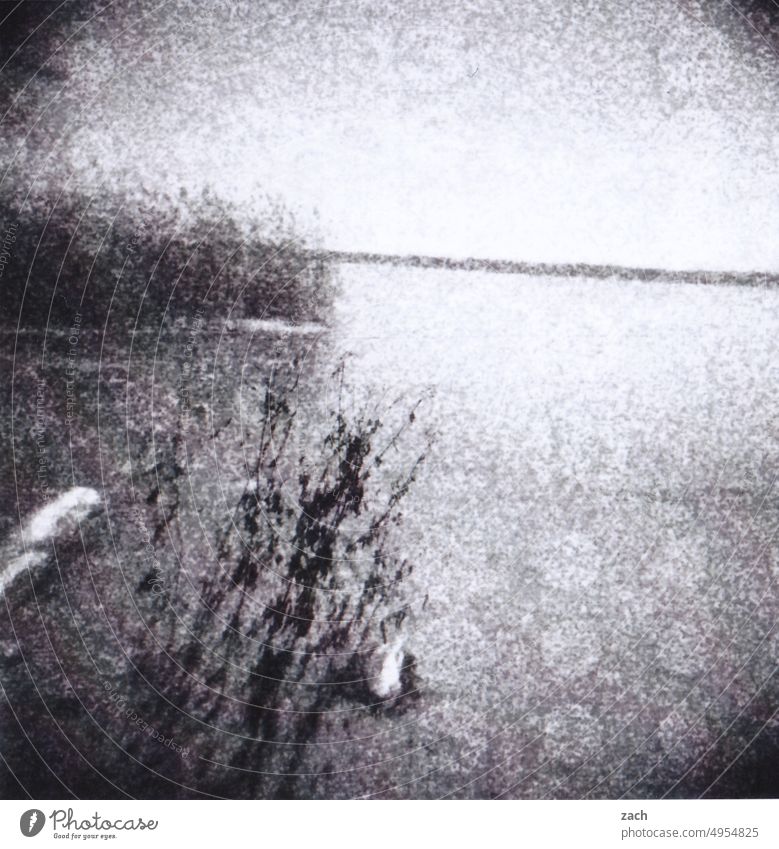 grau ist alle Illusion Außenaufnahme Doppelbelichtung Horizont Ostsee Wasser Schwarzweißfoto schwarzweiß Meer Experiment Lomografie Scan Holga analog Analogfoto