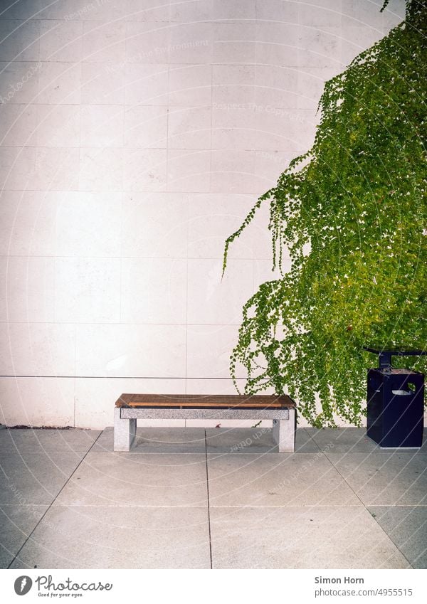 Sitzbank vor begrünter Wand Sitzgelegenheit Warteraum wuchern bewachsen Fassade Bank Treffpunkt Wachstum Beton Kontrast Widerspruch Gegensatz Pflanze