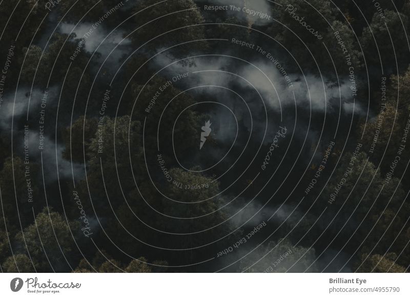 nebliger Wald in Luftaufnahme 3D-Rendering Antenne Hintergrund atemberaubend Kontrast dicht dramatisch Ökologie Umwelt Immergrün Märchen Nebel frisch Dunst hoch