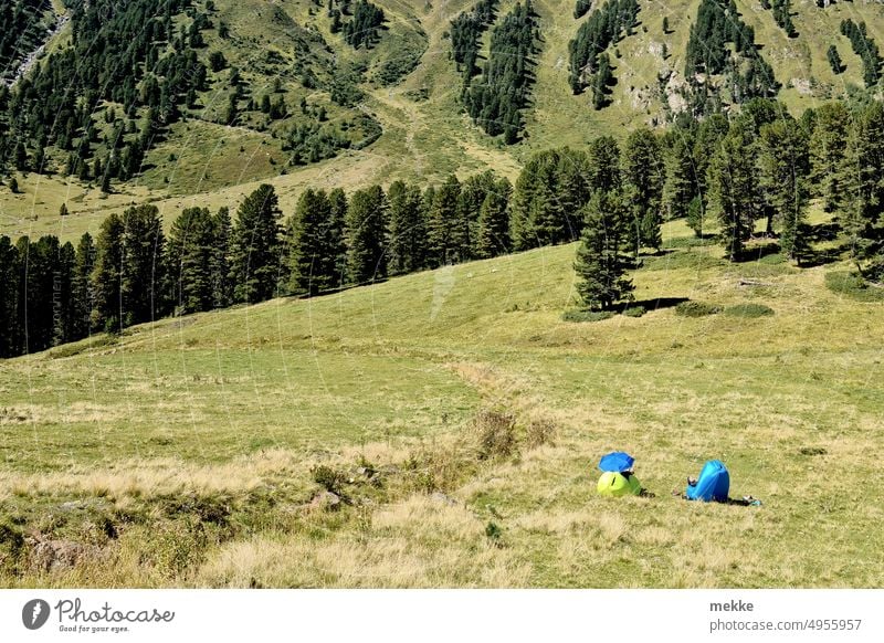 Modernes Relaxen in den Alpen Urlaub Berge u. Gebirge Ferien & Urlaub & Reisen wandern Natur Sommer Tourismus Landschaft Wiese Wälder Bäume grün Alm rasten Sitz