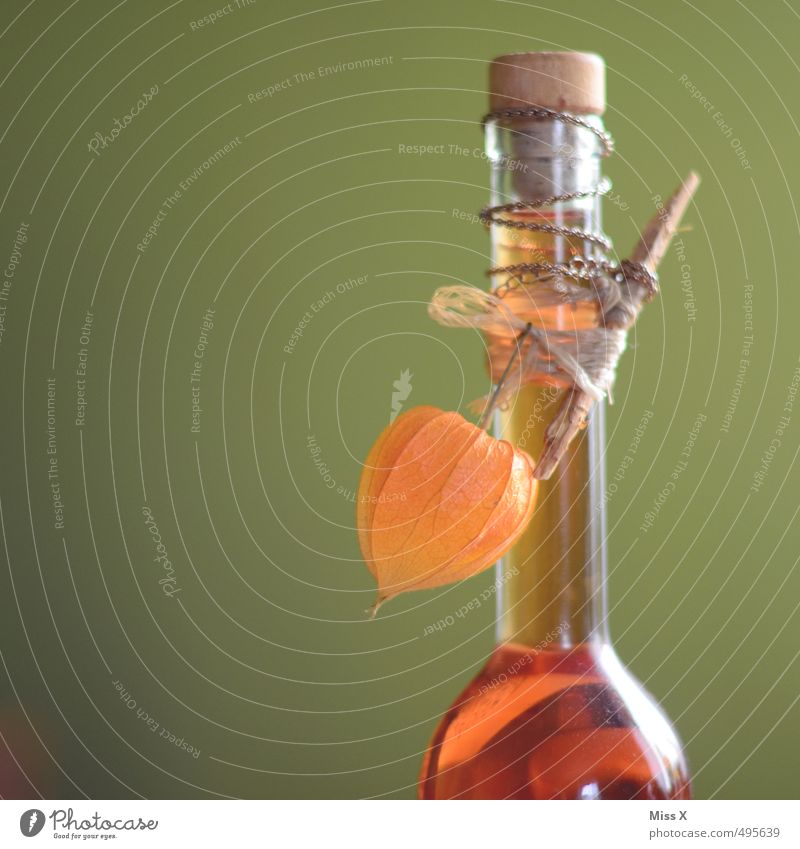 Schnaps Lebensmittel Frucht Ernährung Getränk Alkohol Spirituosen Bar Cocktailbar trinken orange Physalis Lampionblume Flasche selbstgemacht verziert Korken