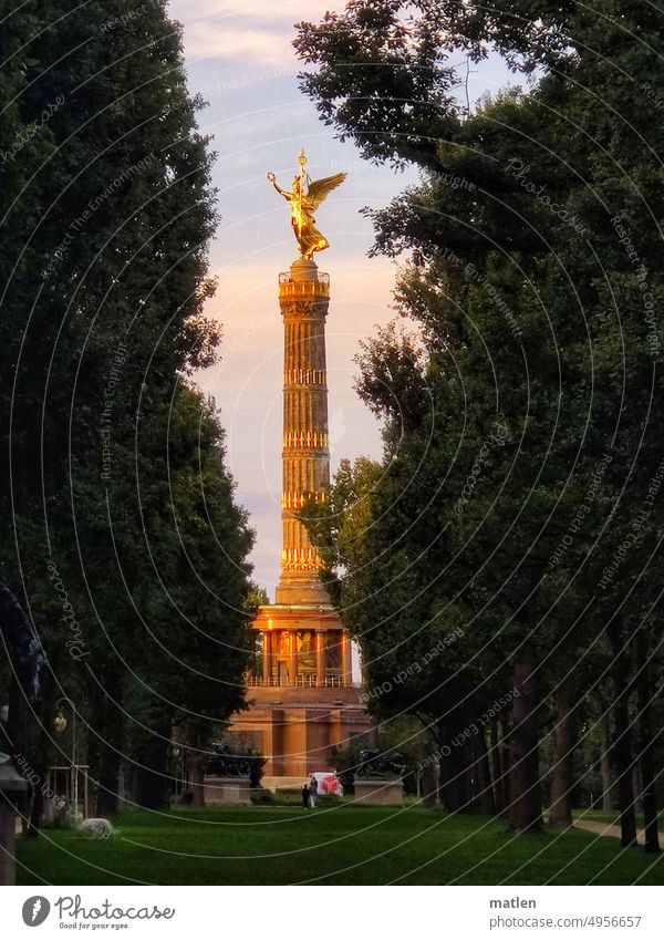 Goldelse am Abend Berlin Tiergarten gold Figur großer stern Hund Bäume Abendsonne Himmel