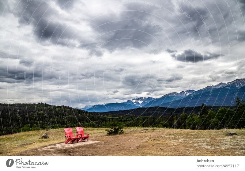 platz für zwei Jasper National Park Wolken Freiheit Berge u. Gebirge Wald Kanada wandern Abenteuer Landschaft Nordamerika Farbfoto Rocky Mountains