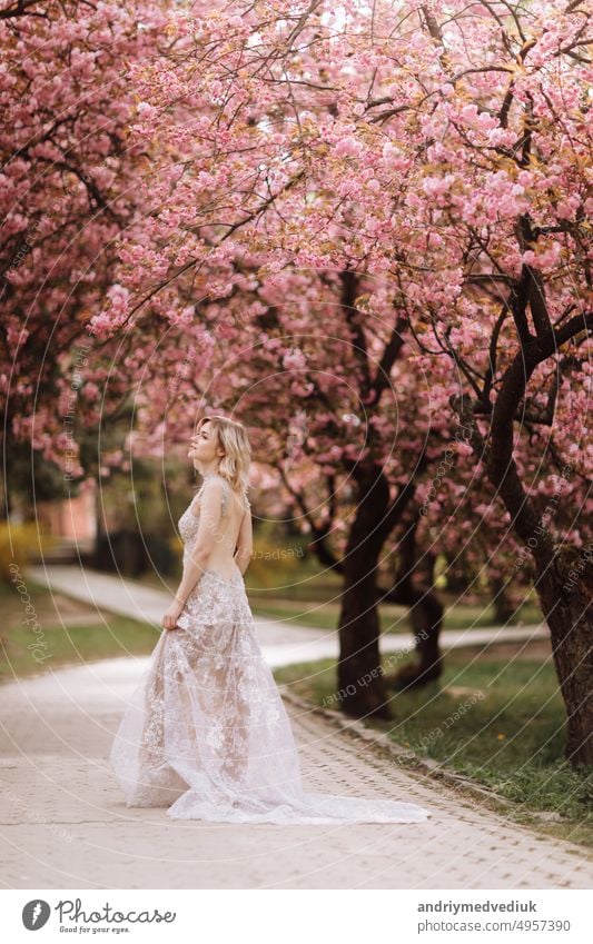 Frauentag. schöne junge Frau in luxuriösen langen Kleid in der Nähe von blühenden Sakura. stilvolle Mädchen in der Nähe von blühenden Sakura Blumen auf dem Hintergrund in den Frühling Park. Harmonie mit der Natur Konzept