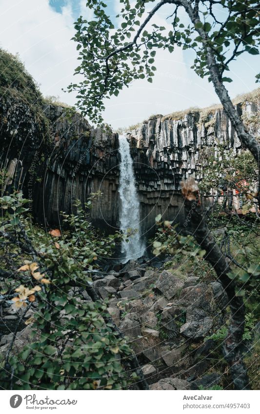 Svartifoss-Wasserfall in Island an einem stimmungsvollen Tag. Reisen auf van Konzept, Road Trip Stil. Besuchen Sie Island und nördlichen Ländern concept.Copy Raum Bild