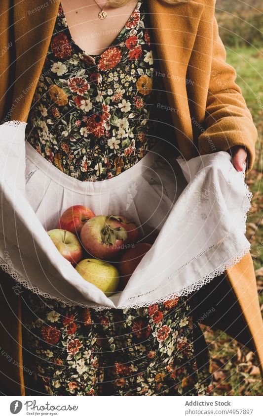 Frau mit frischen reifen Früchten im Herbst Obstgarten Apfel Schürze Ernte Frucht Lebensmittel Kleid Gartenbau Gesundheit natürlich Ernährung Gärtner Ackerbau