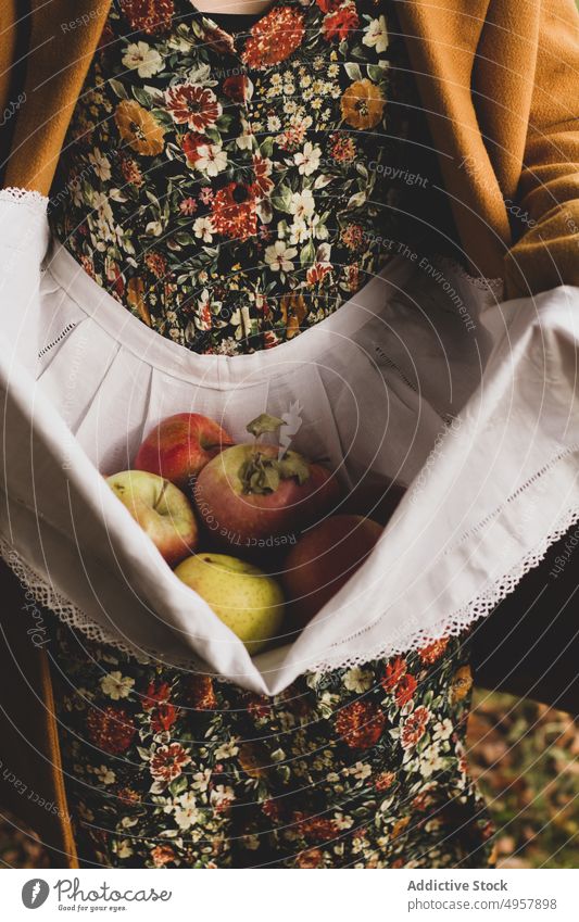 Frau mit frischen reifen Früchten im Herbst Obstgarten Apfel Schürze Ernte Frucht Lebensmittel Kleid Gartenbau Gesundheit natürlich Ernährung Gärtner Ackerbau