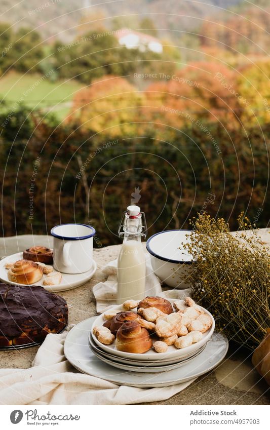 Leckeres hausgemachtes Gebäck auf Gerichten, die für ein Picknick im Herbstgarten vorbereitet wurden Garten trinken Dessert selbstgemacht Leckerbissen