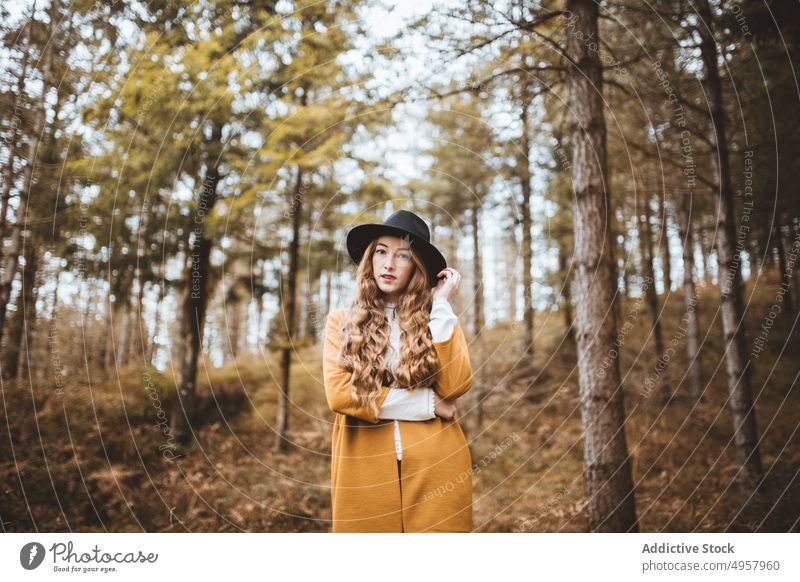 Junge Hipster-Frau auf dem Lande Mädchen Natur jung Person Lifestyle Hut Landschaft Sommer Model Schönheit Stil Behaarung im Freien lässig Hintergrund Kaukasier