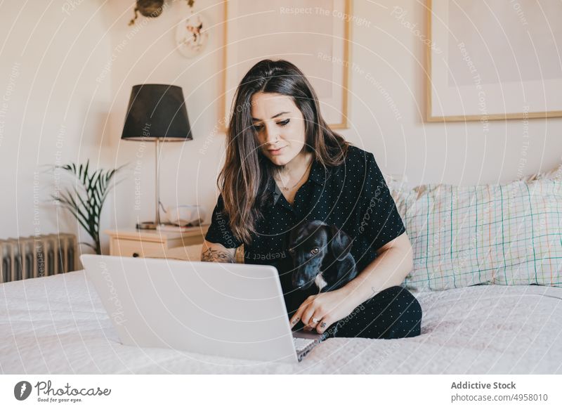 Junge Frau am Computer mit Hund Sitzen Bett Laptop gemütlich Netzwerk Textfreiraum sich[Akk] entspannen benutzend horizontal Technik & Technologie arbeiten