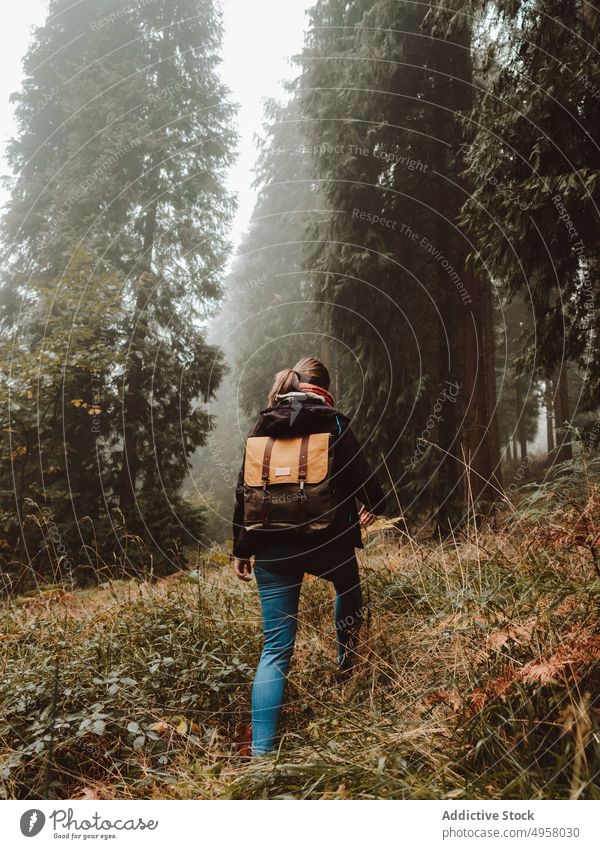 Frau erkundet einen nebligen Wald laufen Landschaft Bäume Rucksack Herbst Waldgebiet Natur friedlich Berge u. Gebirge Laubwerk ruhig Umwelt Saison üppig (Wuchs)