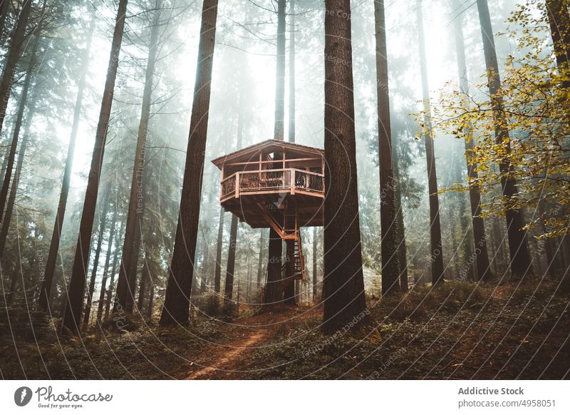 Holzhütte am Baum aufgehängt Landschaft Bäume Herbst Waldgebiet Natur friedlich Berge u. Gebirge Laubwerk ruhig Umwelt Saison üppig (Wuchs) magisch farbenfroh