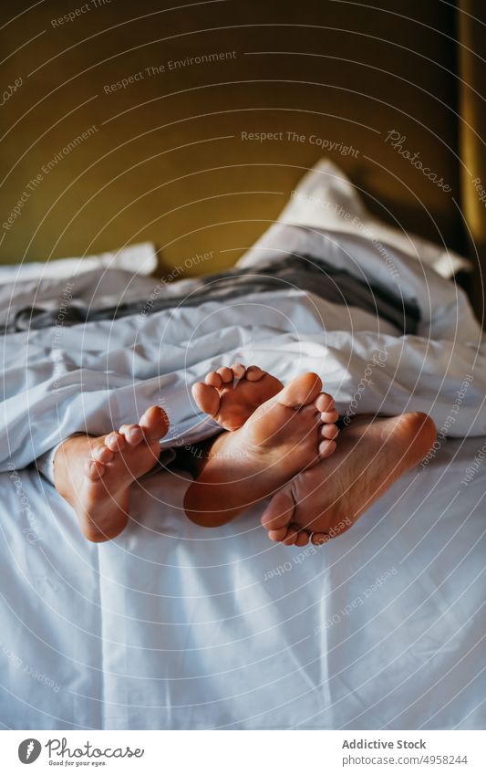 Anonymes Paar kuschelt sich an die Füße und schläft zusammen unter einer Decke Zusammensein Partnerschaft Barfuß Komfort kuscheln sich[Akk] entspannen weich