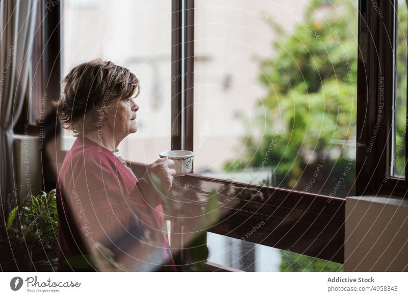 Nachdenkliche ältere Frau trinkt heißes Getränk am Fenster gemütlich trinken Tasse heimwärts besinnlich ruhen in den Ruhestand gehen lässig Raum Lifestyle