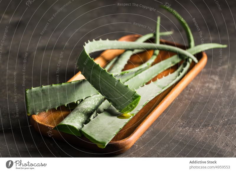 Aloe vera Blätter Agave Aloe Vera Botanik Kaktus Kosmetik Dekor Garten grün Gesundheit Zimmerpflanze saftig Blatt Makro Spitze tropisch Natur hell schwarz
