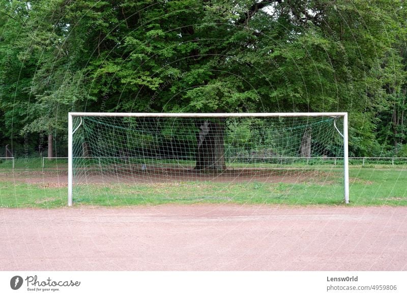 Leeres Fußballtor mit einem Baum im Hintergrund Feld Spiel Tor grün Netz im Freien Park Strafraum Platz spielen Erholung Sport Stadion
