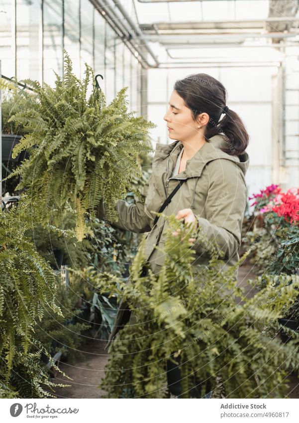 Frau kauft Topfpflanze in modernem Gewächshausmarkt Baum Markt wählen Zimmerpflanze kaufen Pflanze Verbraucher Gärtner Fokus Blumenhändler Wahl Käufer