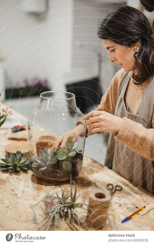 Aufmerksam nachdenklich Florist machen getöpferten Zusammensetzung mit kleinen Blumenhändler Sukkulente Terrarium komponieren Frau Kaktus Zimmerpflanze Dekor