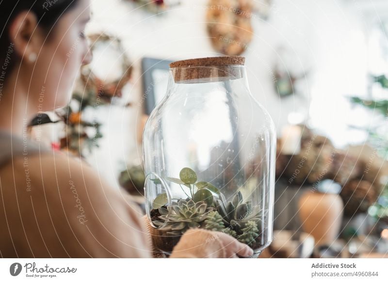 Frau bewundert getöpferte Komposition aus kleinen grünen Sukkulenten zu Hause Terrarium wachsen Kaktus Zimmerpflanze heimwärts Flora Pflanze Floristik