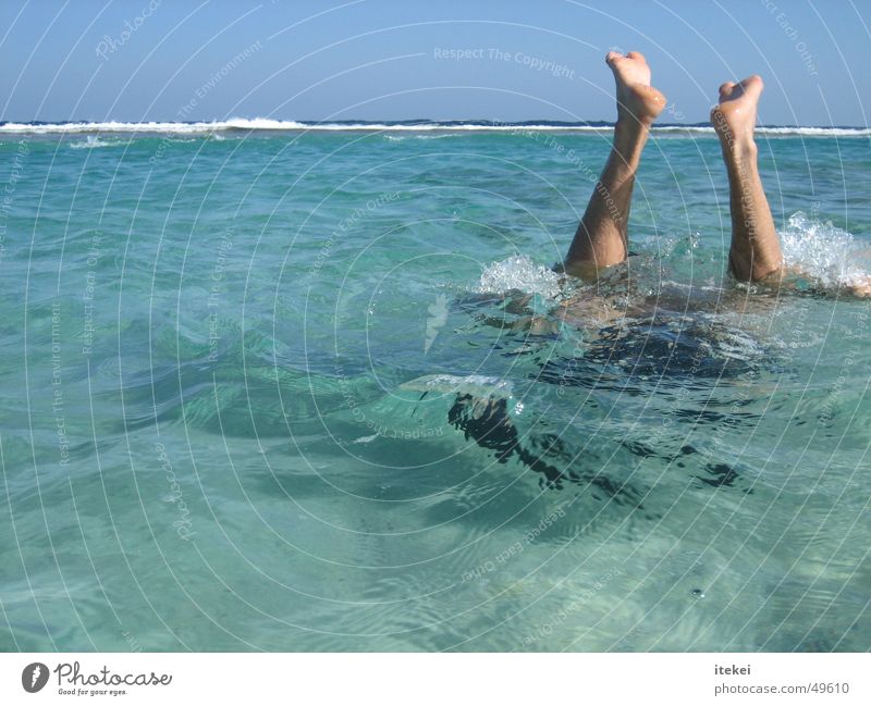 Einfach Mal Abtauchen Meer Schnorcheln Taucher Tauchgerät Karibisches Meer Wellen türkis Wasser Fuß Schwimmen & Baden