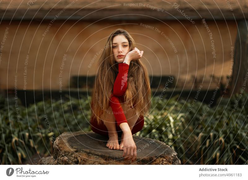Junge sinnliche Frau in der Natur Porträt Landschaft Sitzen geschnitten Baum Kofferraum Barfuß schön Teenager verträumt feminin jung Feld hübsch rot Blumen