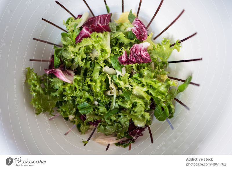 Kopfsalatblätter in Plastiksieb Blatt Salat Sieb Salatbeilage frisch Küche Bestandteil Kunststoff Koch Gemüse Veganer organisch natürlich kulinarisch Produkt