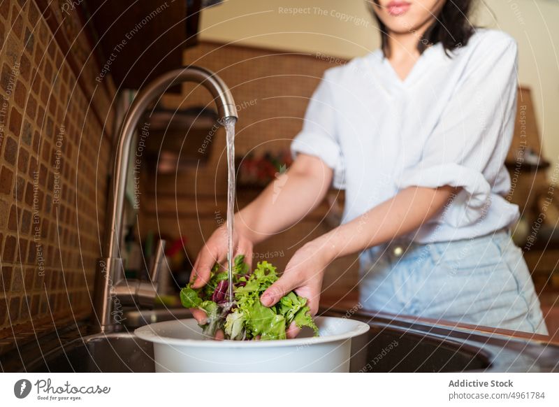 Erntefrau wäscht Salat in einem Sieb Frau Waschen Wasser Waschbecken frisch Küche Wasserhahn Sauberkeit nass reif heimisch Gemüse organisch Vitamin Veganer
