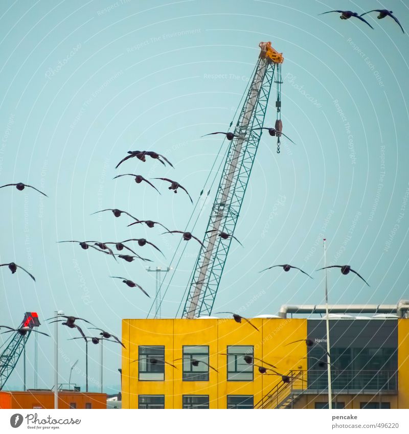 Rømø | hafenrundflug Maschine Fortschritt Zukunft Wolkenloser Himmel Nordsee Hafenstadt Gebäude Schifffahrt Vogel Schwarm Kraft beweglich Leben Sehnsucht