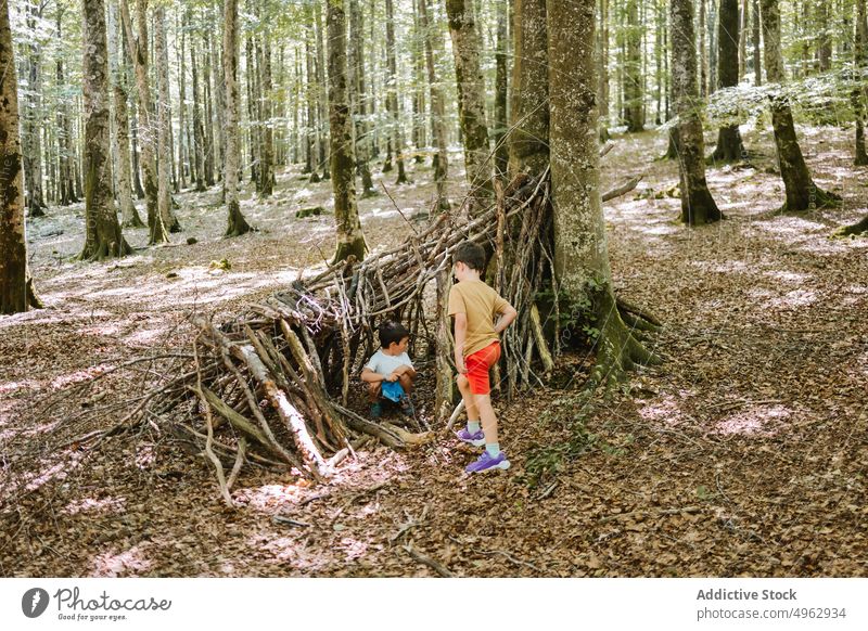 Brüder spielen in einem Unterstand im Wald Bruder Wartehäuschen Sommer Kinder Zusammensein Junge kleben Wochenende Natur Geschwisterkind Kindheit Landschaft
