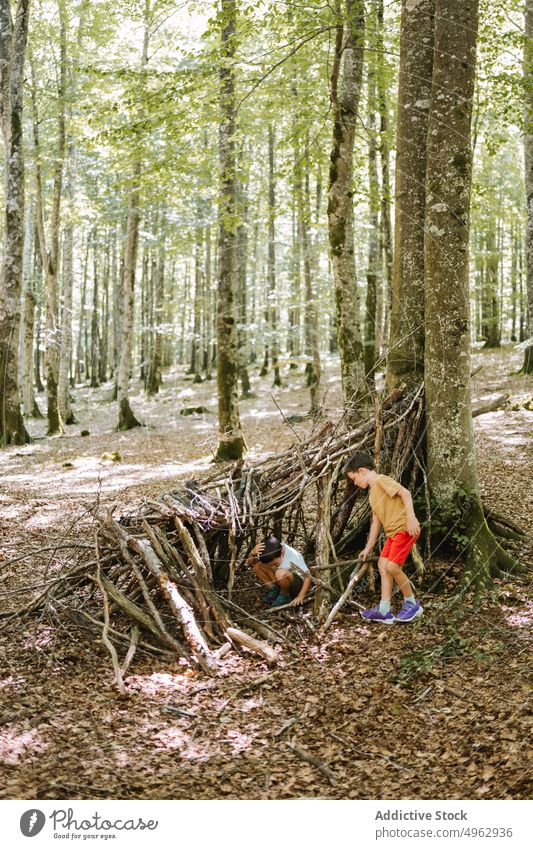 Brüder spielen in einem Unterstand im Wald Bruder Wartehäuschen Sommer Kinder Zusammensein Junge kleben Wochenende Natur Geschwisterkind Kindheit Landschaft