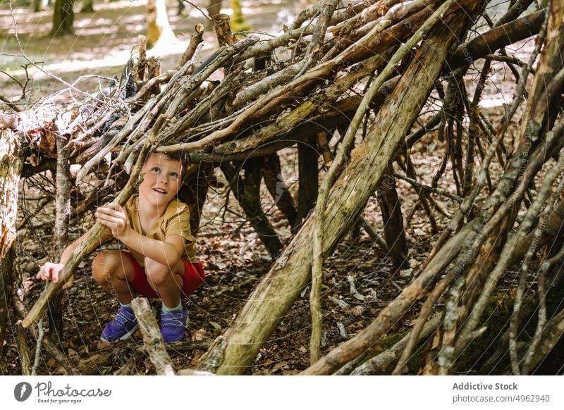Junge baut Unterschlupf aus Stöcken bauen Wartehäuschen kleben Sommer Wald Lächeln spielen Wochenende froh tagsüber Kind Kindheit Landschaft Natur Glück Saison