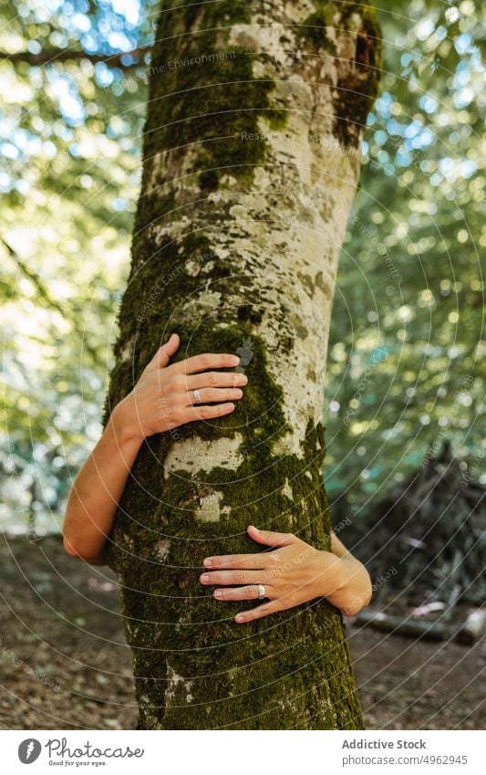 Anonyme Frau, die einen Baumstamm umarmt Tourist Umarmung Wald Sommer Kofferraum Moos Ring Wochenende Natur Wälder Waldgebiet Liebe Rinde natürlich tagsüber