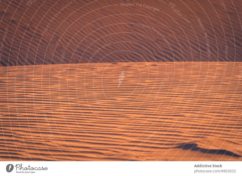 Gewellte Oberfläche von trockenem Sand wellig Strand Sonnenuntergang uneben Hintergrund Natur Textur Gran Canaria Kanarische Inseln Spanien wüst trocknen