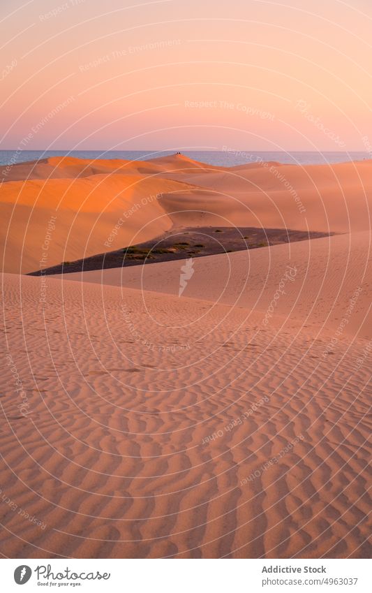 Trockene Wüste am Meer bei Sonnenuntergang wüst Düne trocken MEER Himmel Sand Strand Abend Küste Gran Canaria Kanarische Inseln Spanien Landschaft marin