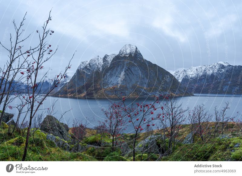Küste in der Nähe von felsigen Bergen gegen bedeckten Himmel Berge u. Gebirge MEER Natur Winter Fjord malerisch Kamm Landschaft Meeresufer Schnee
