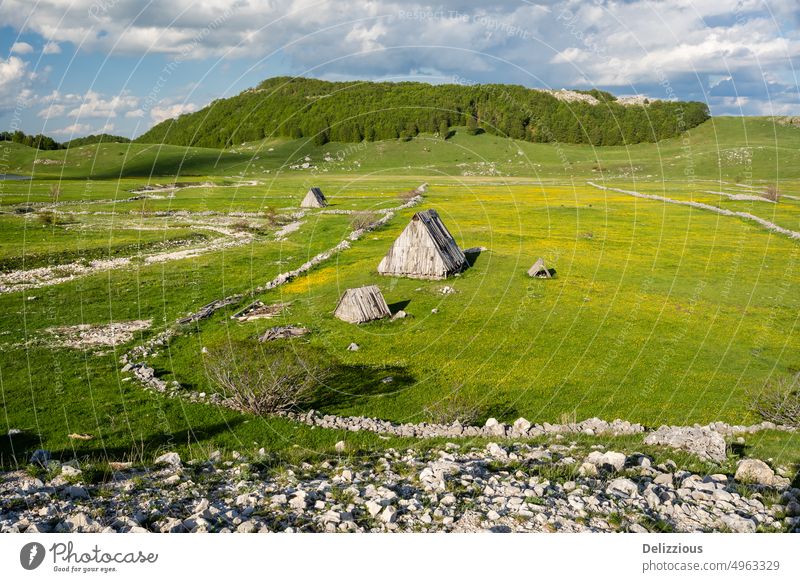 Grüne Wiese mit alten Holzhäusern in Montenegro grün Feld Gras hölzern Häuser Menschenleer Windstille Weg Himmel blau Wolken montenegro Europa reisen besuchen