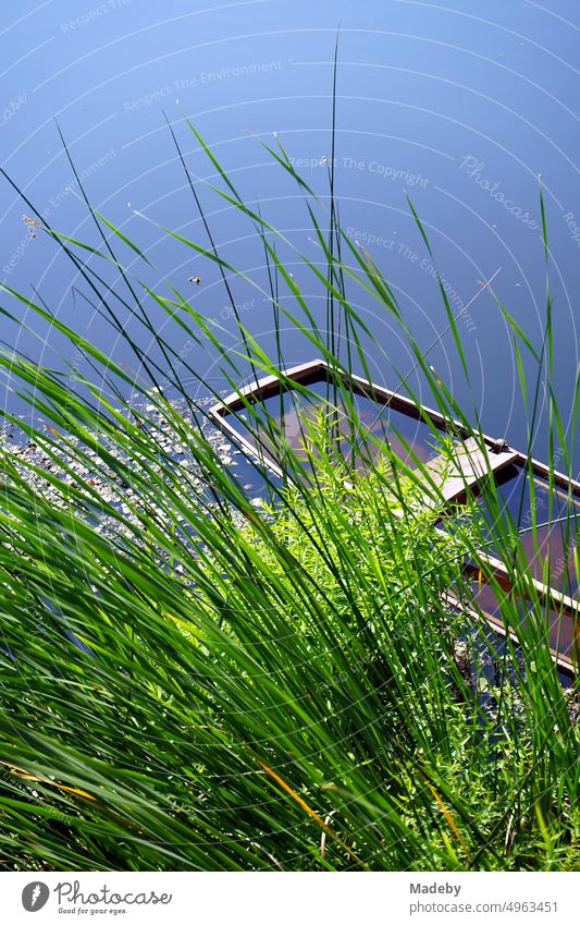 Grüne Auenlandschaft im Sommer im Sonnenschein mit altem versunkenen Holzboot und grünen Gräsern am Wasser im Acarlar Auenwald bei Karasu in der Provinz Sakarya in der Türkei