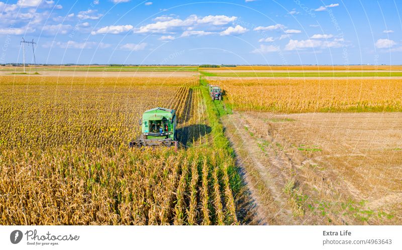 Blick von oben auf Mähdrescher, Erntemaschine erntet reife Sonnenblumen Antenne landwirtschaftlich Ackerbau Agronomie Müsli Land kultiviert geschnitten