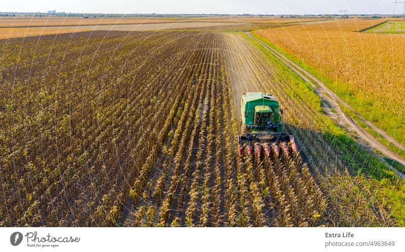 Luftaufnahme von Mähdrescher, Erntemaschine erntet reife Sonnenblume oben Antenne landwirtschaftlich Ackerbau Agronomie Müsli Land kultiviert Bodenbearbeitung