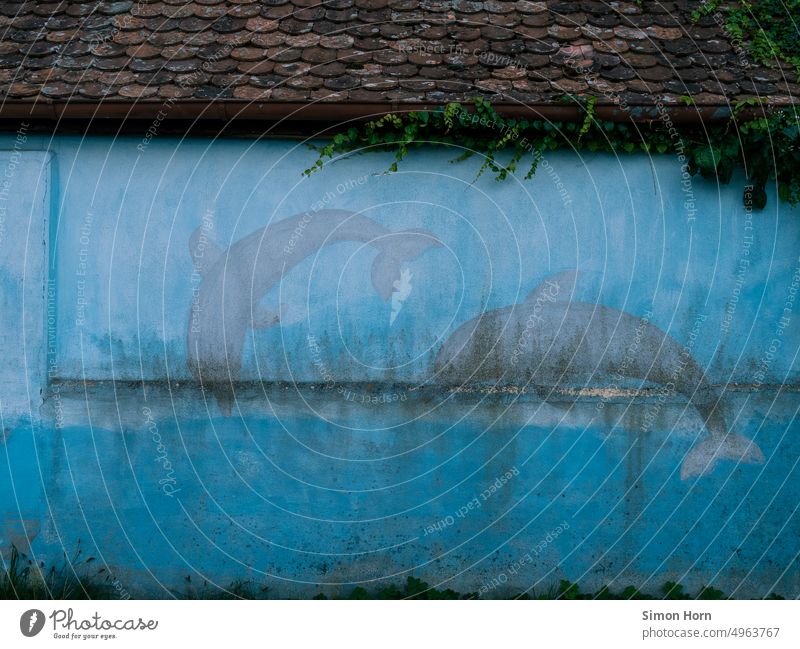 Delphine mit Patina Ozean Wandgemälde Meeresspiegel Überschwemmung Erderwärmung Umweltschutz Wasser blau Umweltzerstörung Gefangenschaft Sinnbild Wunsch