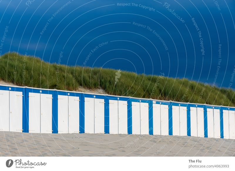 Blaue Strandkabinen in Oostkapelle - Niederlande Nordsee Reiehe blau Sand Düne Dünen Dünengras Himmel Wolken Blauer Himmel Nordseeküste Erholung Farbfoto Meer