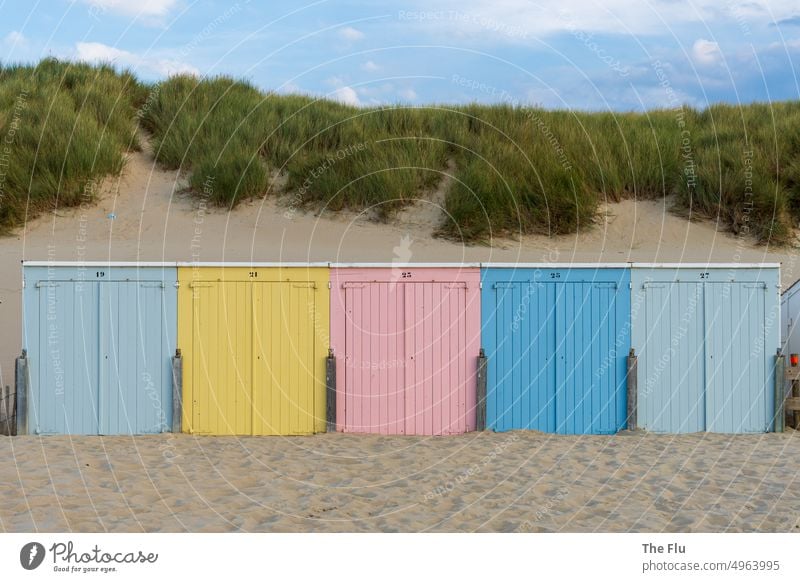 Bunte Strandkabinen in Oostkapelle - Nordsee Niederlande Strandurlaub Strandkabinem Strand Urlaub Erholung bunt hellblau Sand strand Dünen Dünengras grün rosa