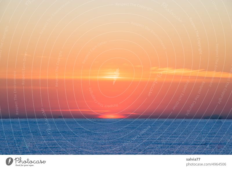 gleich taucht die Sonne aus dem Meer auf Sonnenaufgang Wellen Himmel Horizont Wasser Menschenleer Farbfoto Morgen Sonnenaufgang über dem Meer