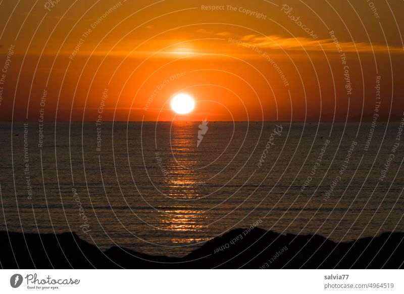 Sonnenaufgang über dem Meer Felsen Landschaft Stimmungsbild Horizont Wasser Küste Farbfoto Menschenleer Sommer Spiegelung Urlaub Ferien & Urlaub & Reisen Natur