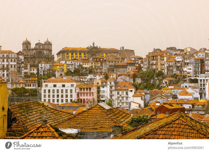 Stadtentwicklung | was kommt was bleibt ? Porto Architektur Europa Altstadt Portugal Tourismus historisch urban Großstadt alt Wahrzeichen Europäer Portugiesisch