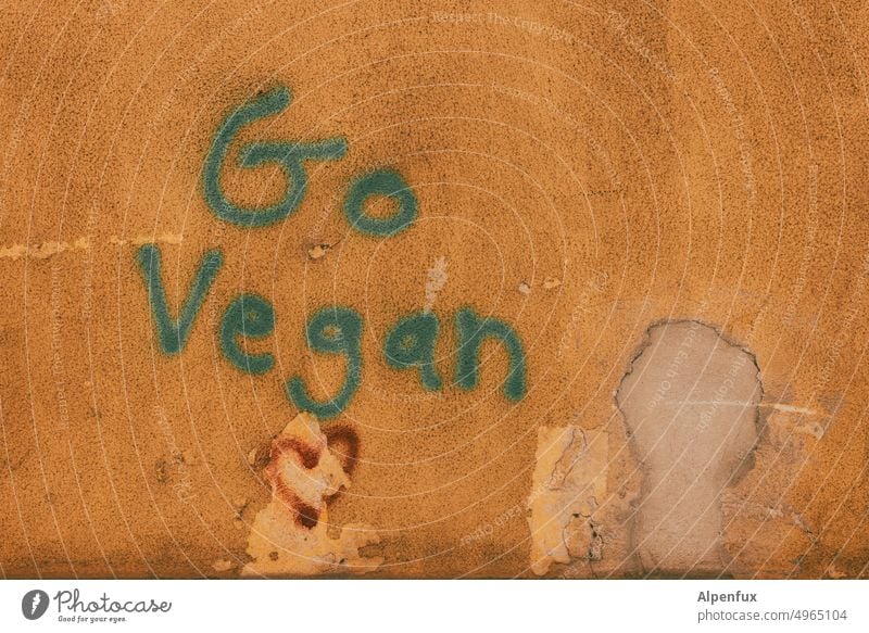 geh vegan Vegane Ernährung Graffiti Wand Hauswand Vegetarische Ernährung Gesunde Ernährung Farbfoto Gesundheit Essen Lebensmittel